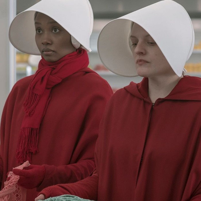 handmaids tale costume