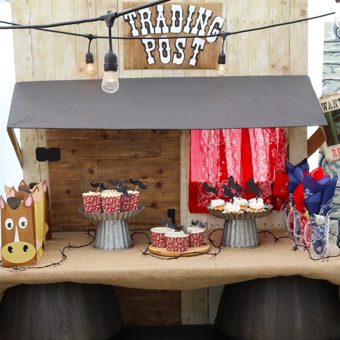 western birthday party supplies