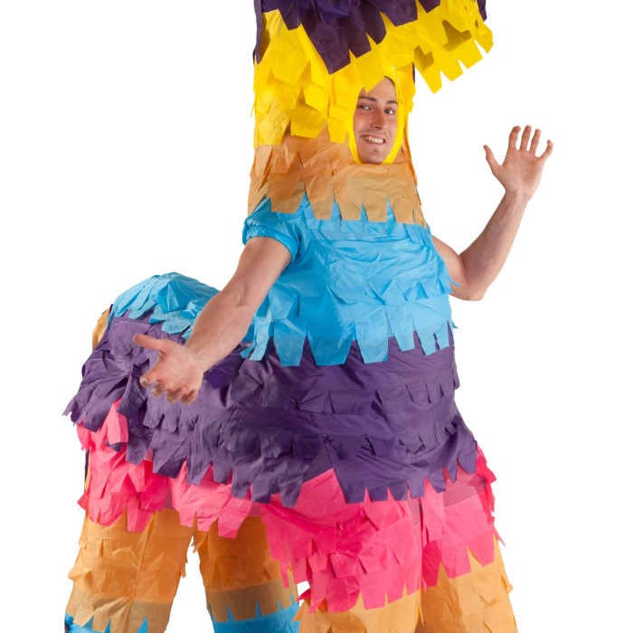 pinata costume