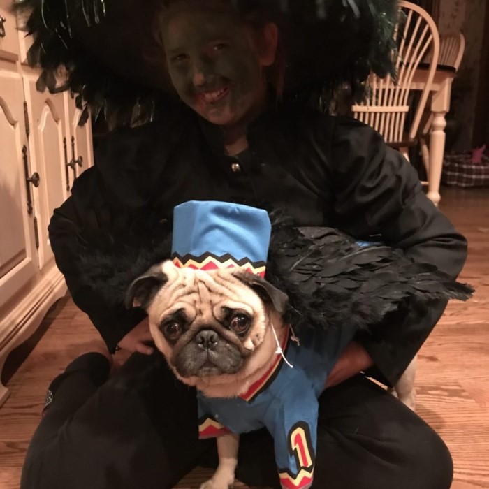 flying monkey costume