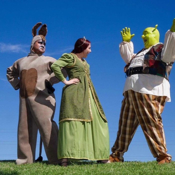 shrek and fiona costume