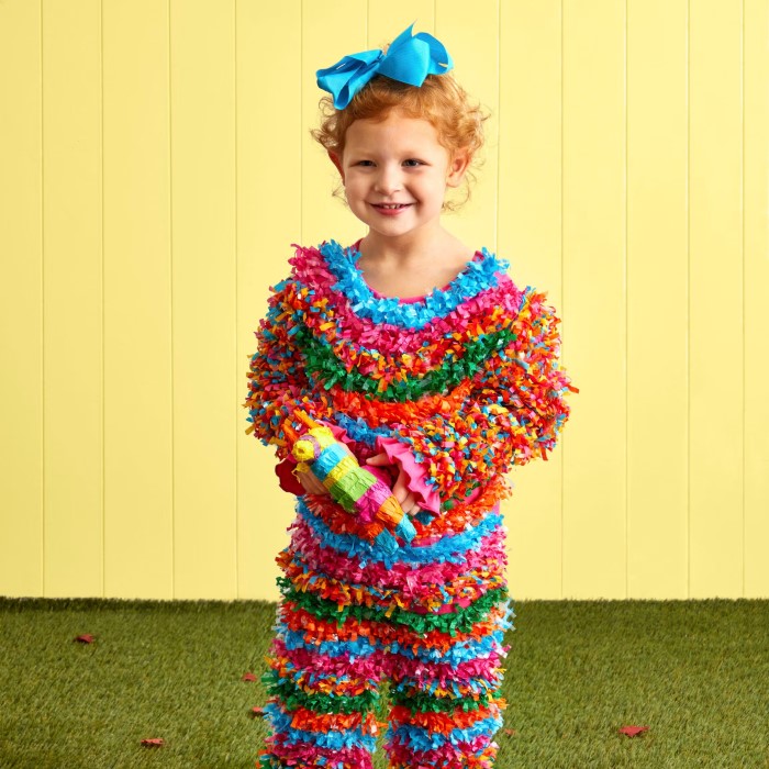 pinata costume
