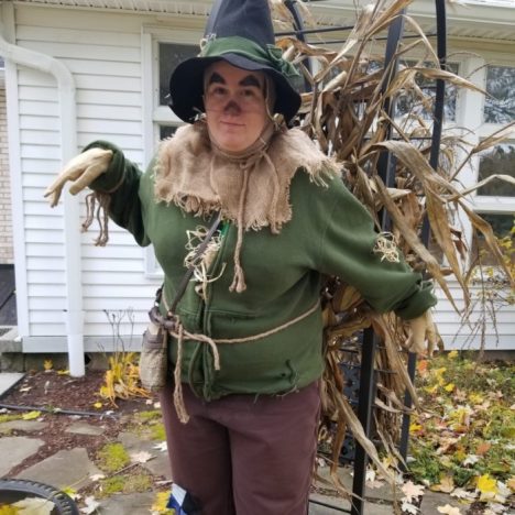 wizard of oz scarecrow costume