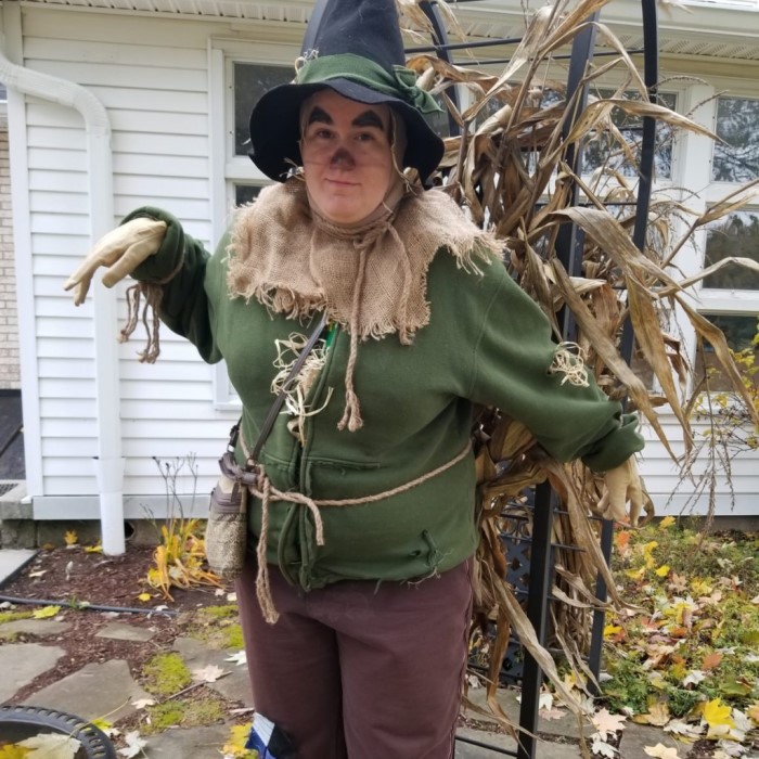 wizard of oz scarecrow costume