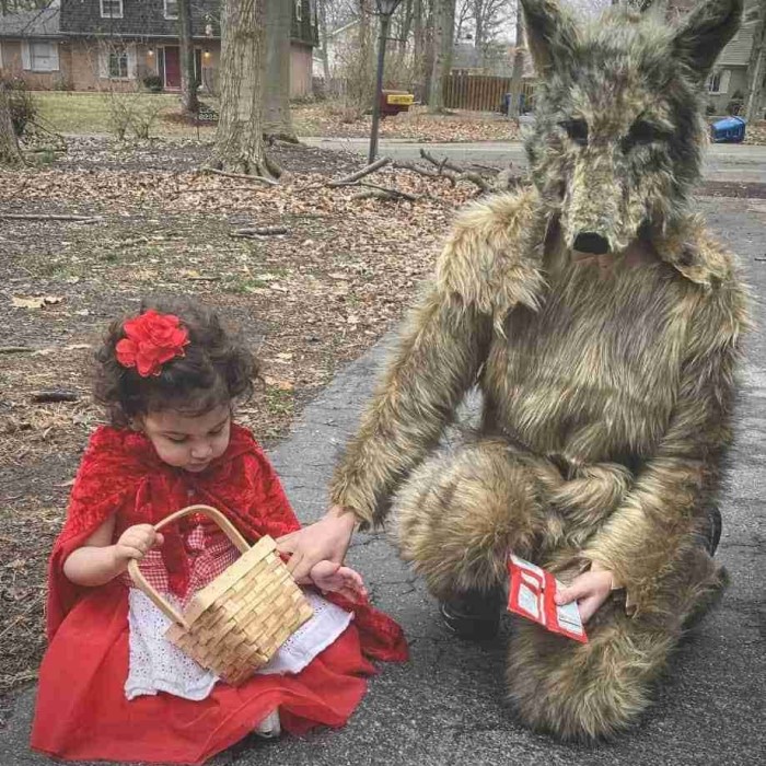 big bad wolf costume