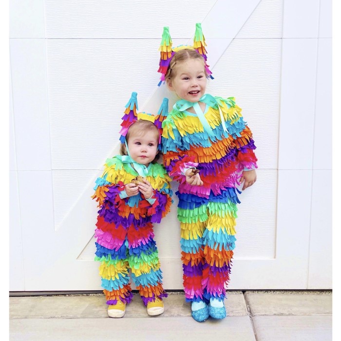pinata costume