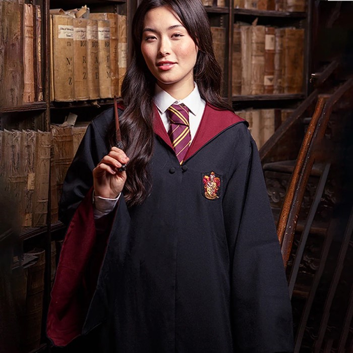 gryffindor costume