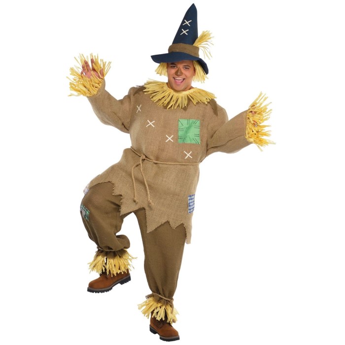 wizard of oz scarecrow costume