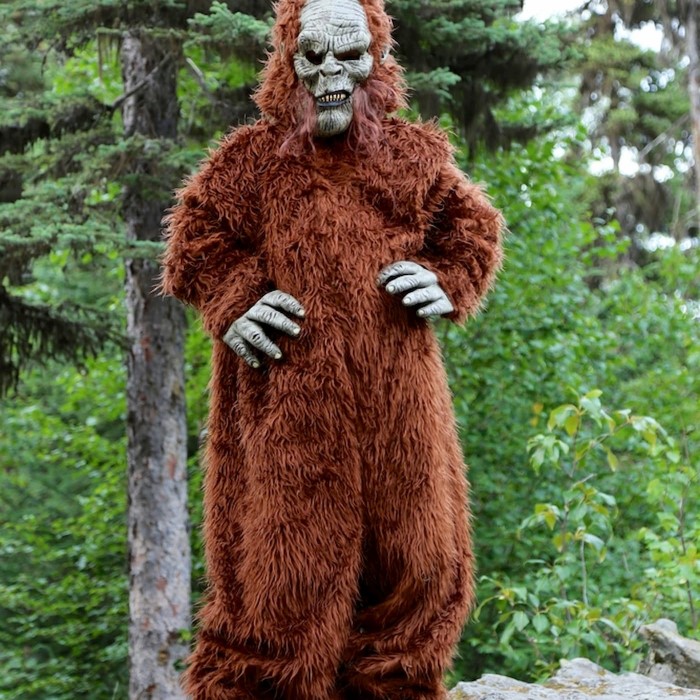 sasquatch costume