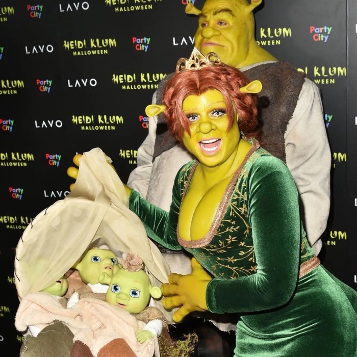shrek and fiona costume