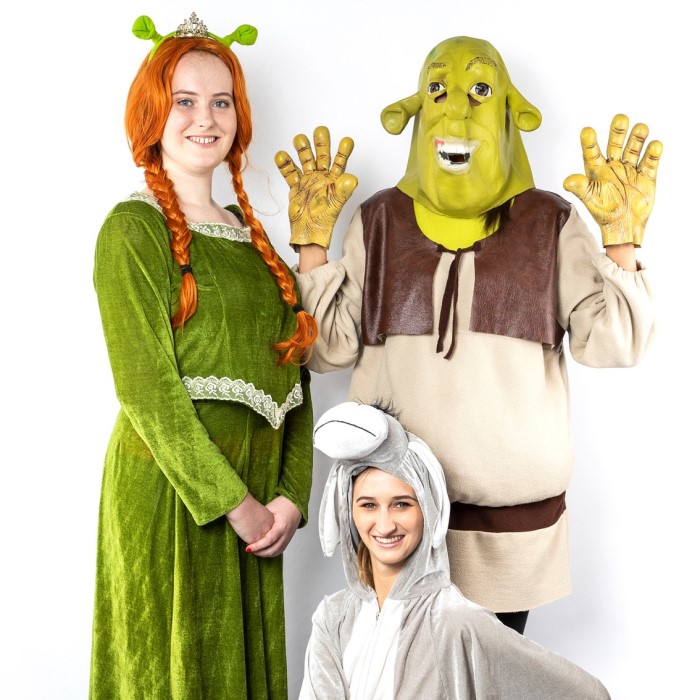 shrek and fiona costume