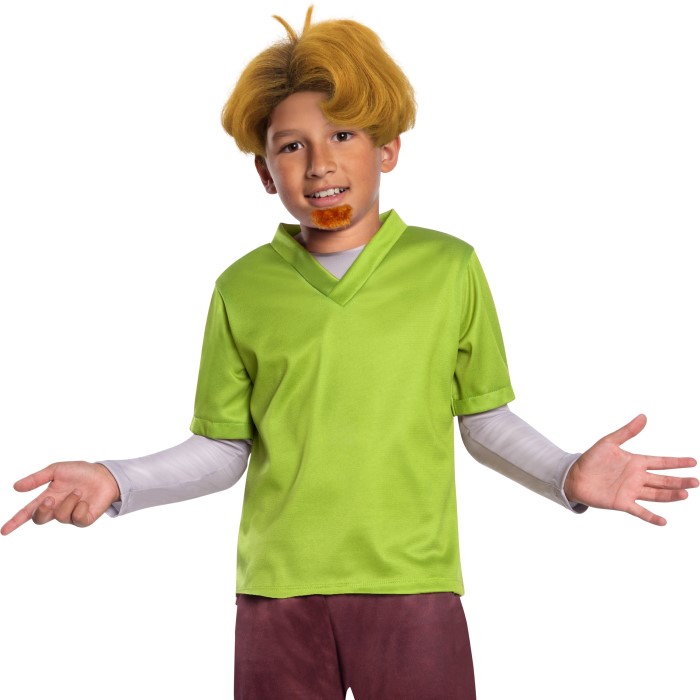 velma and shaggy costume