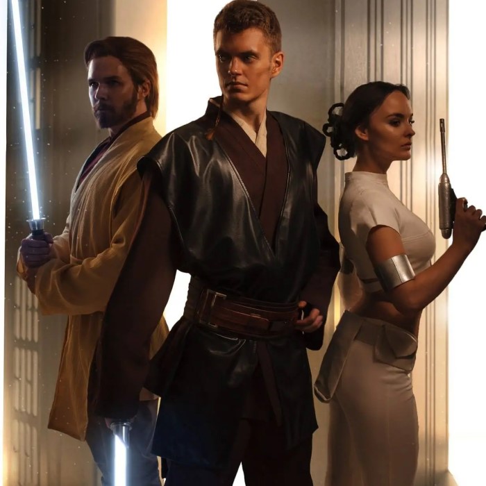 anakin and padme costume