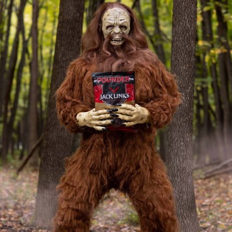 sasquatch costume