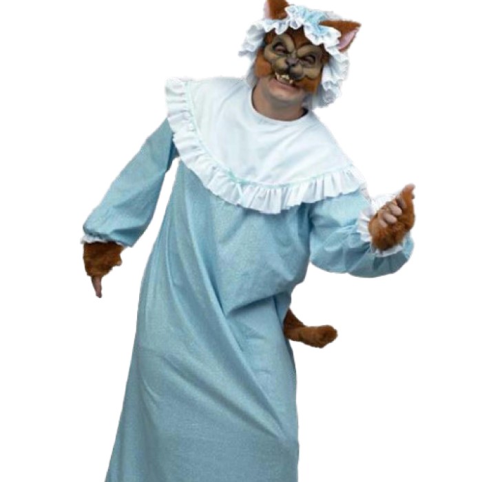 big bad wolf costume