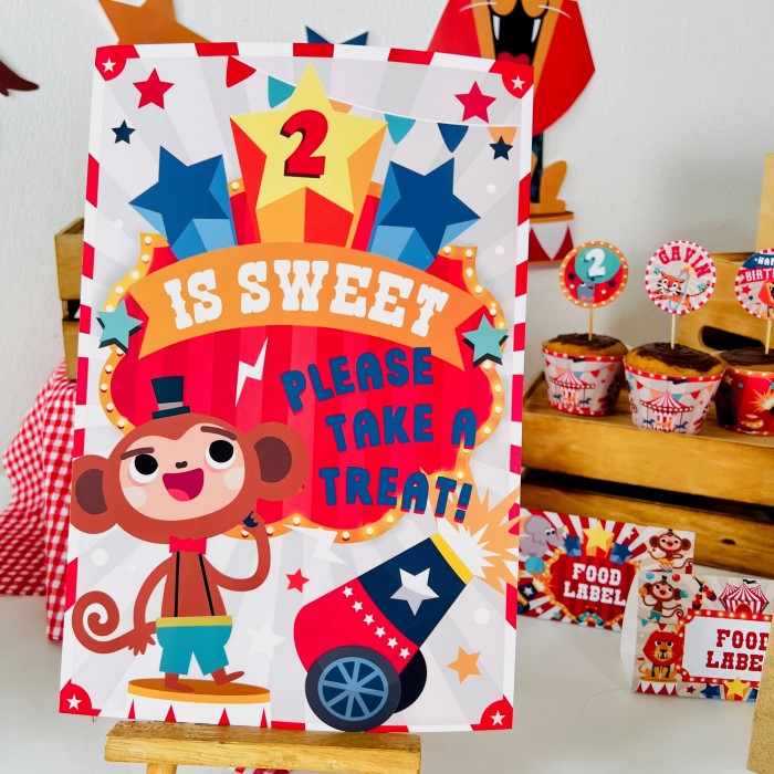 circus birthday party supplies