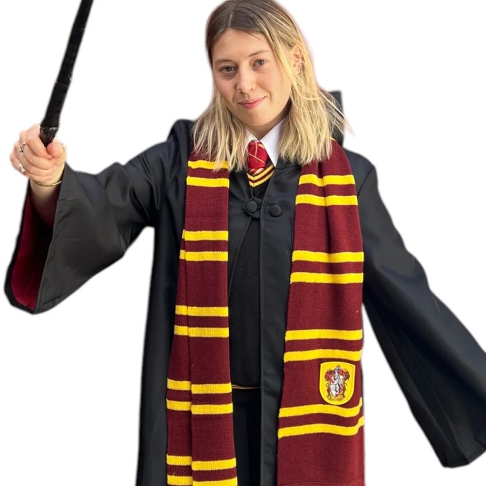 gryffindor costume