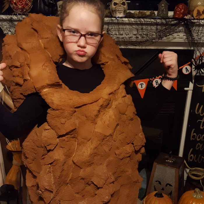chicken nugget costume
