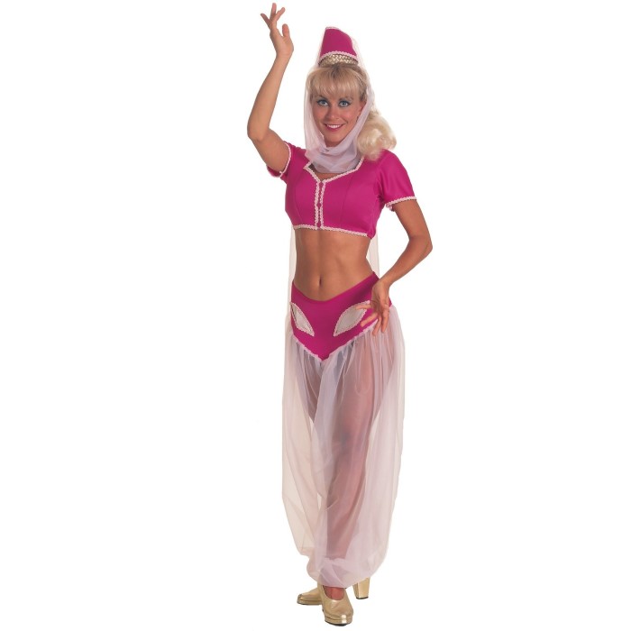 i dream of jeannie costume