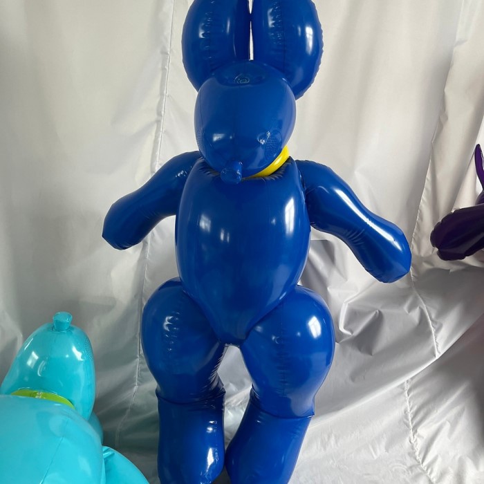 balloon animal costume