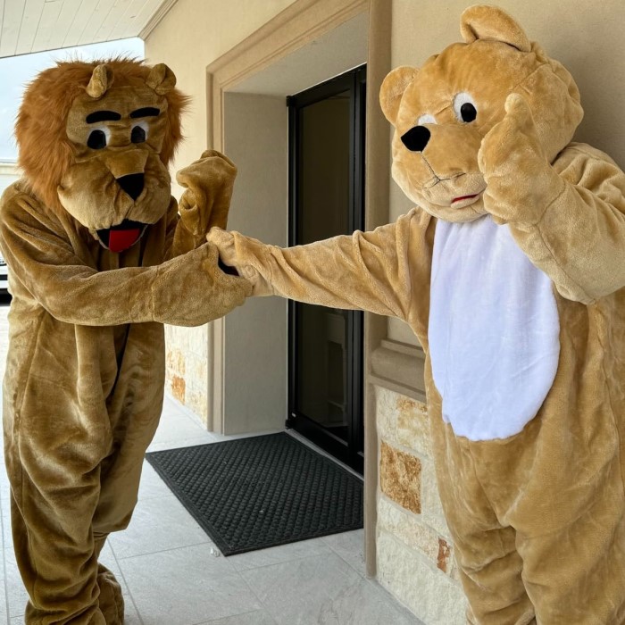 teddy bear costume