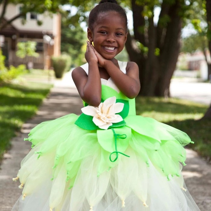 princess and the frog costume