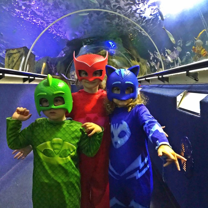 pj mask costume