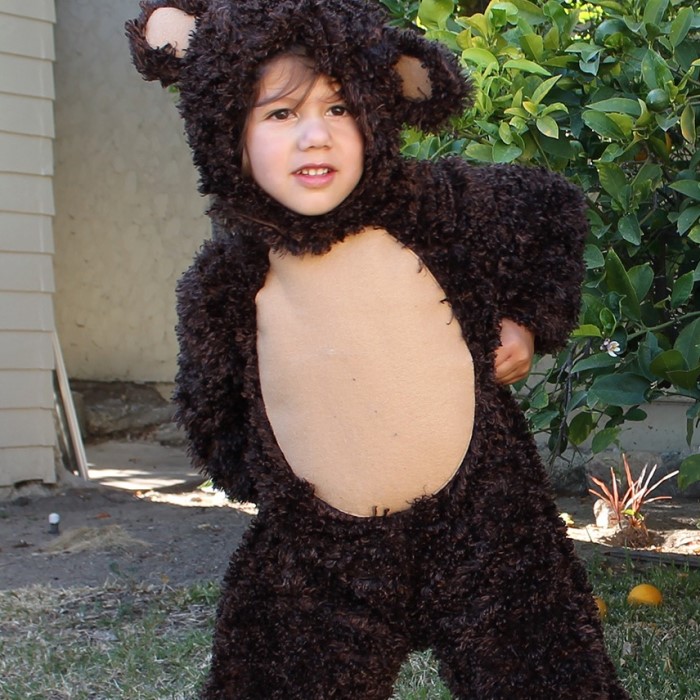 teddy bear costume