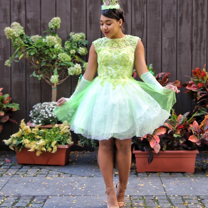 princess and the frog costume