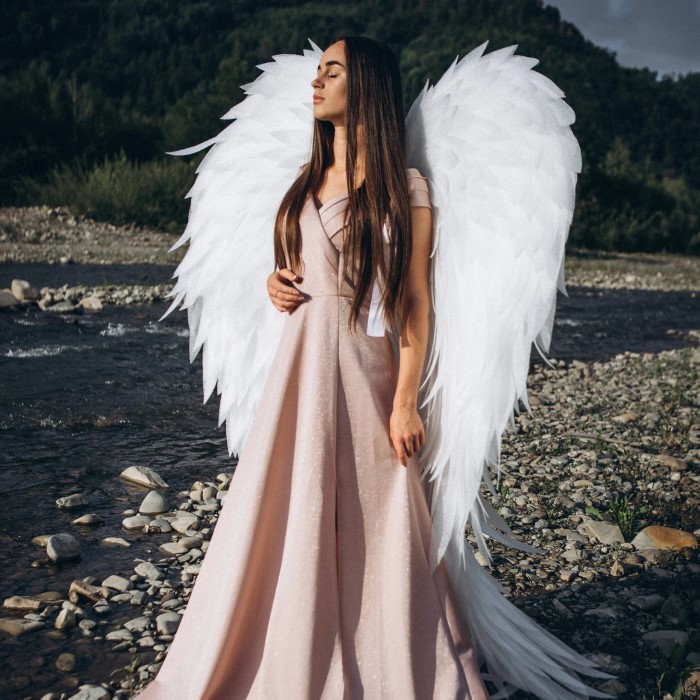 victoria secret angel costume