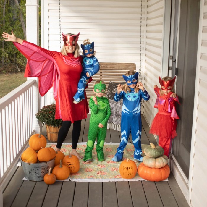 pj mask costume