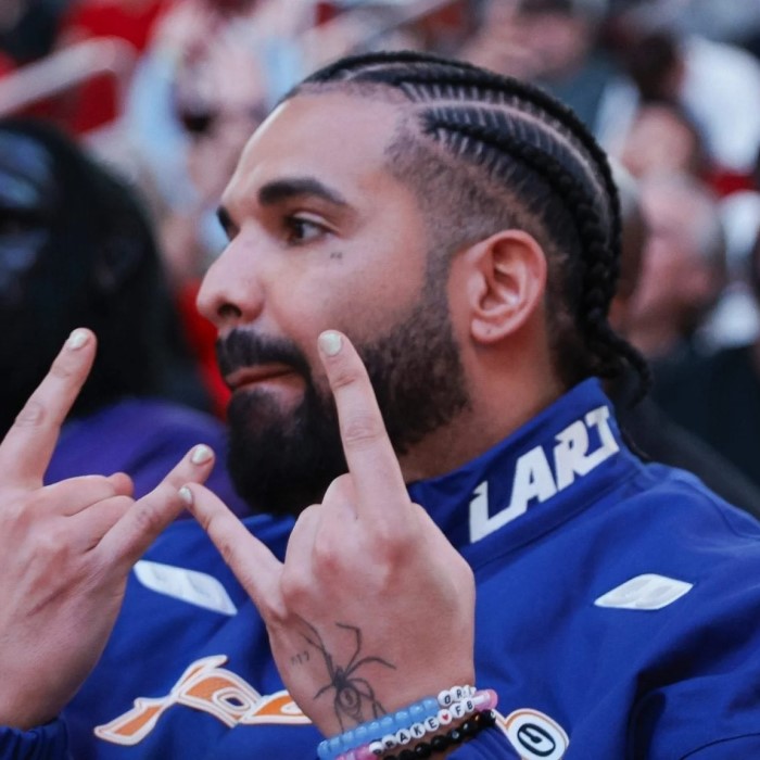drake costume