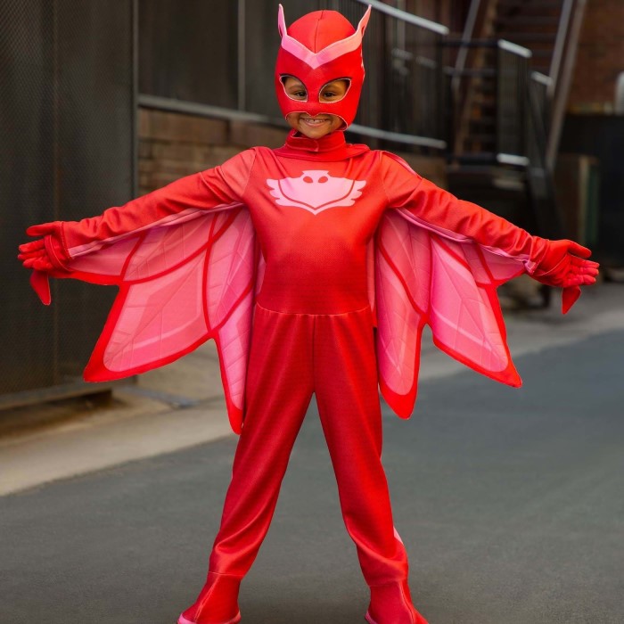 pj mask costume