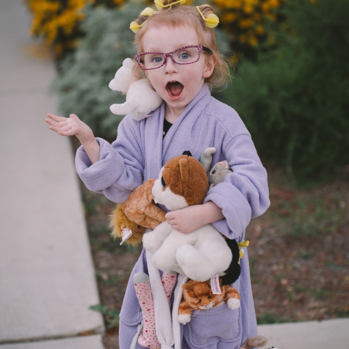 crazy cat lady costume