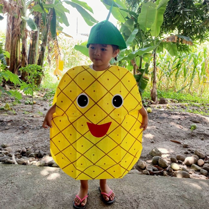 pineapple costume
