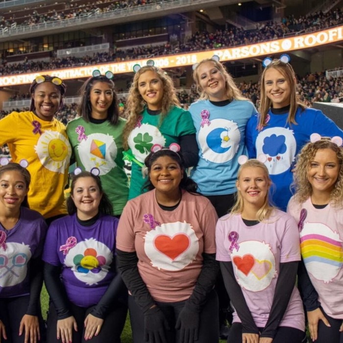 care bear halloween costume