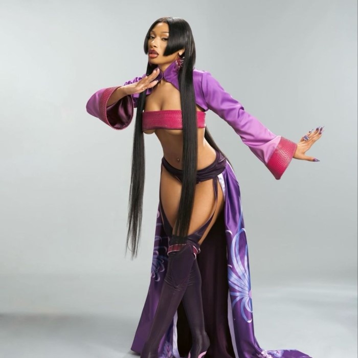 megan thee stallion anime cosplay