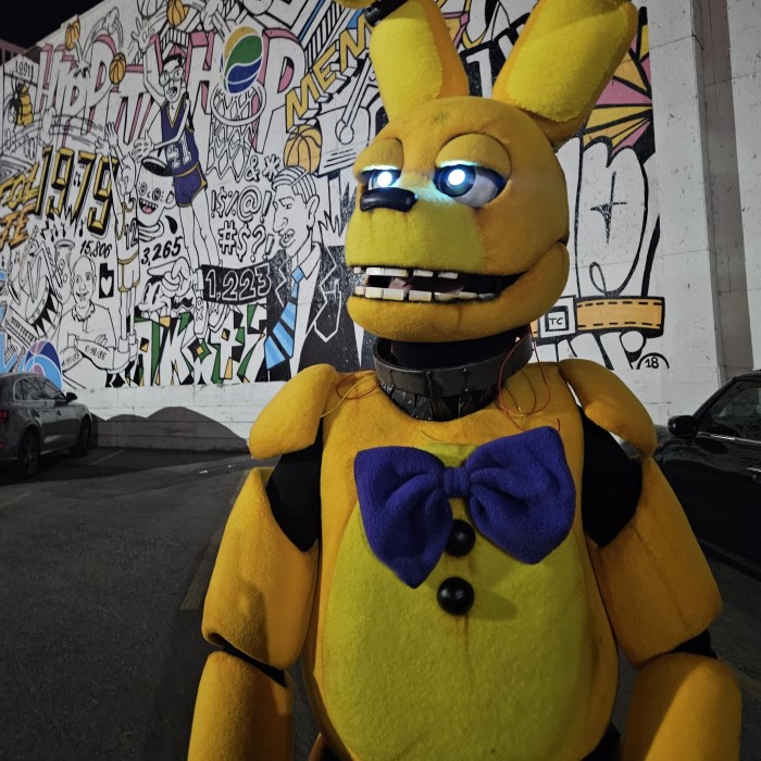 spring bonnie costume