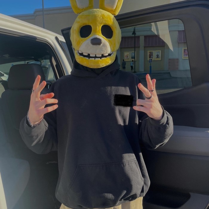 spring bonnie costume