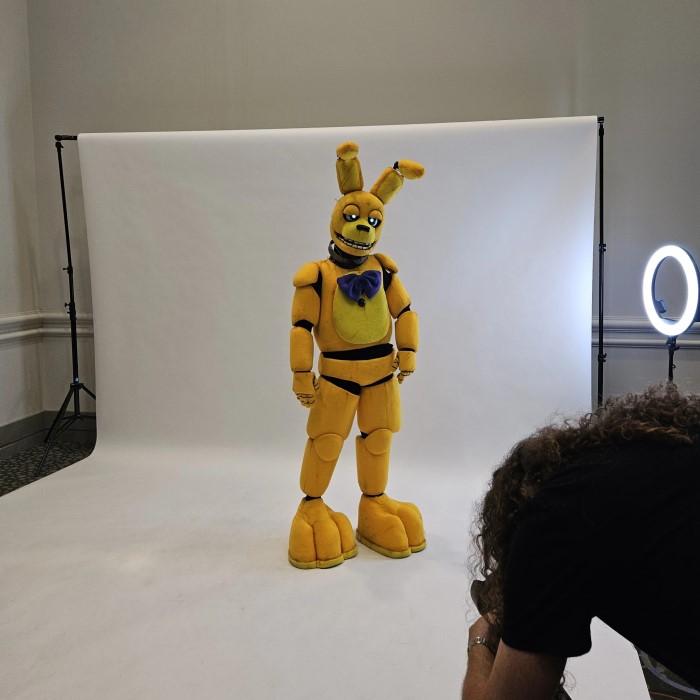 spring bonnie costume