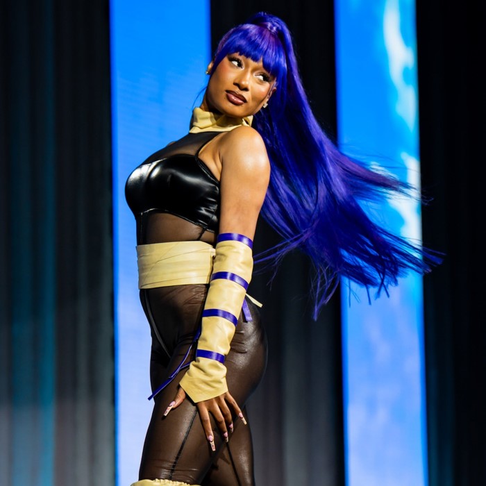 megan thee stallion cosplay