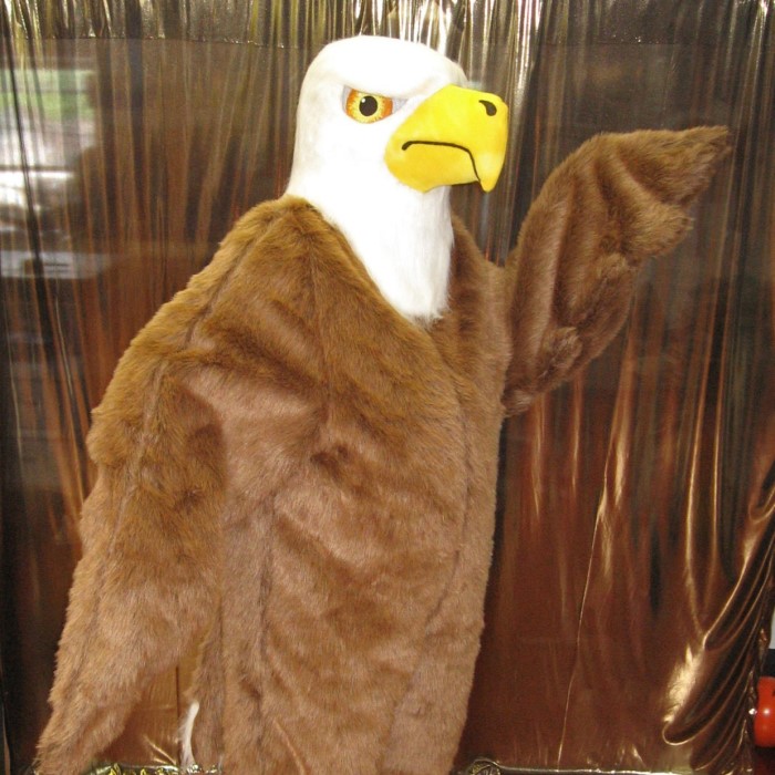eagle costume