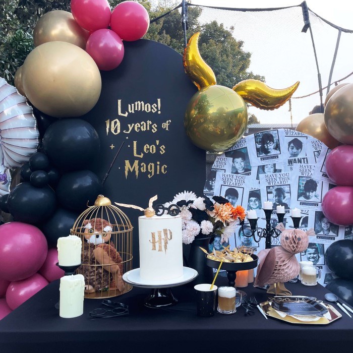 harry potter party supplies