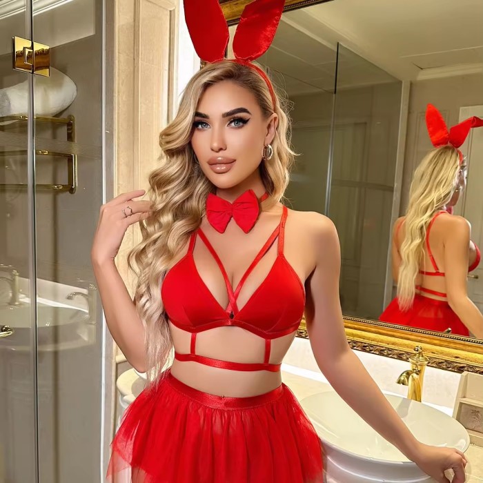 cosplay lingerie