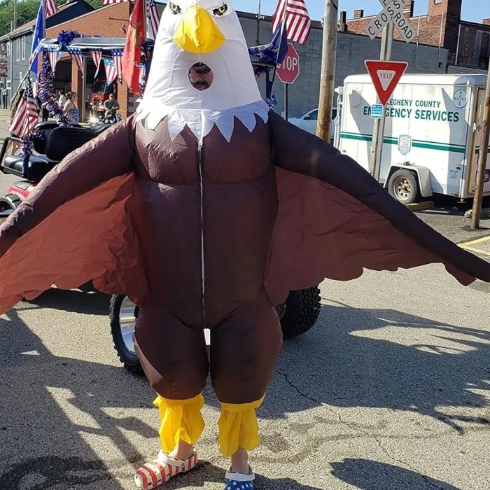 eagle costume