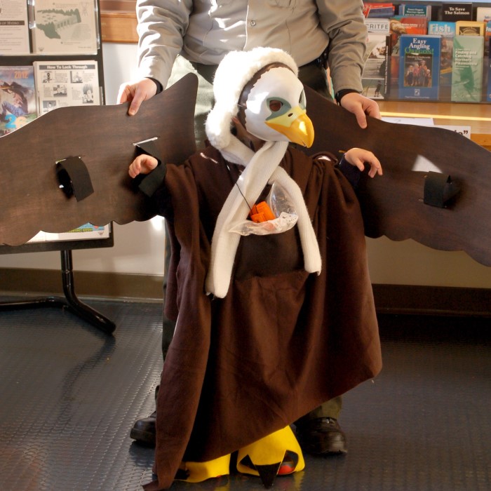 eagle costume