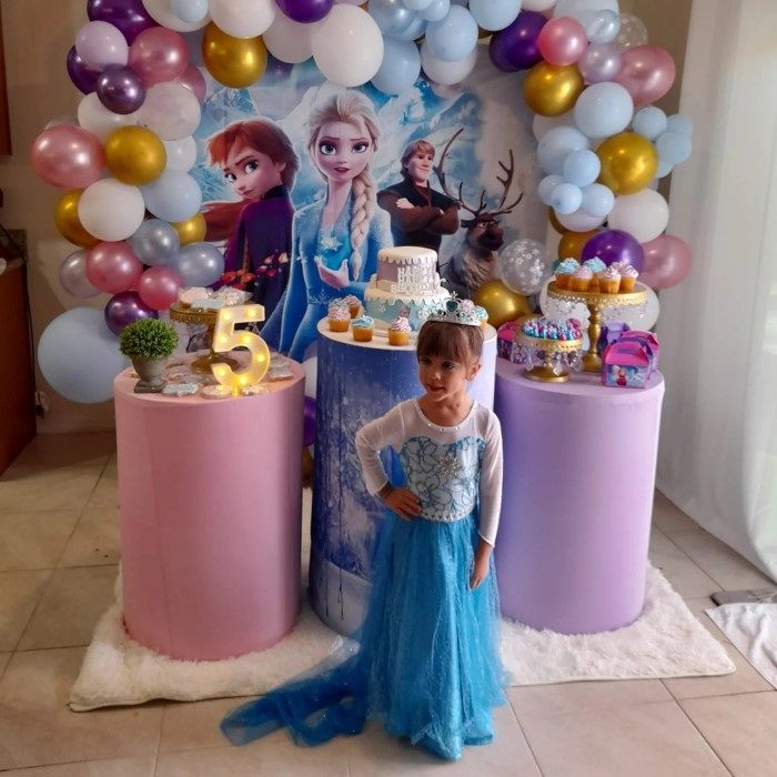 frozen party supplies