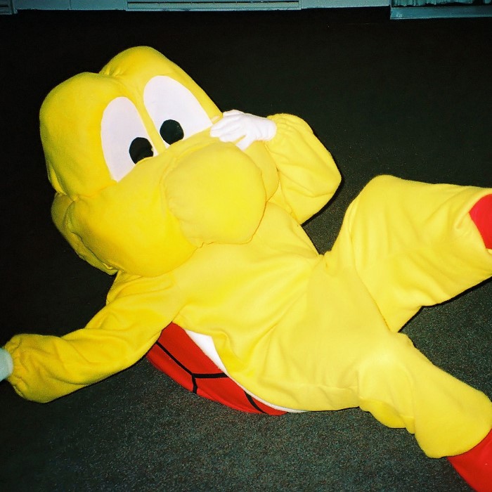 koopa troopa costume