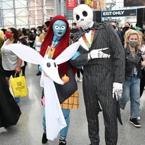 sally costume adult