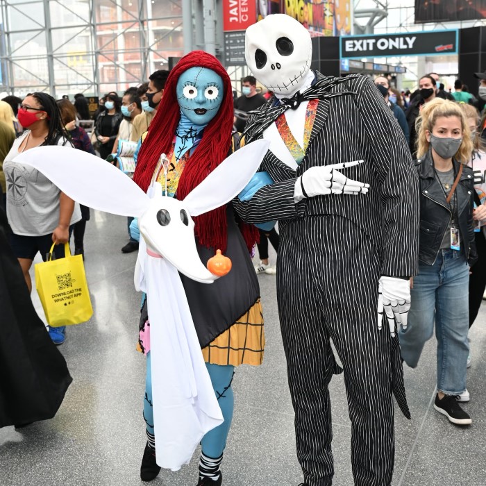 sally costume adult